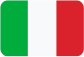 Patente professione di guida Italiano